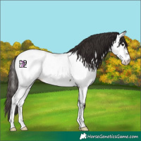 Horse Color:Midnight Bay Onyx Fewspot