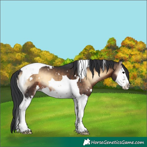 Horse Color:White Spotted Brown Onyx Splash Tobiano 