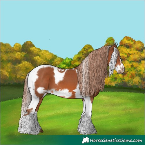 Horse Color:Chestnut Tobiano Frame 