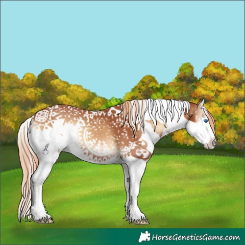 Horse Color:Red Onyx Splash Tobiano 