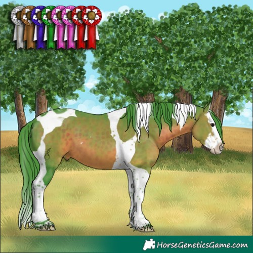 Horse Color:Watercolor Brown Splash Tobiano 