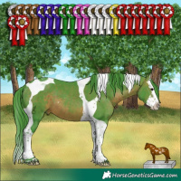 Horse Color:Watercolor Brown Splash Tobiano 