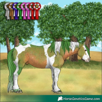 Horse Color:Watercolor Brown Splash Tobiano 