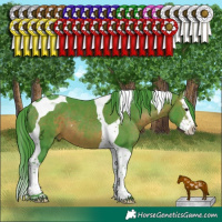 Horse Color:Watercolor Brown Splash Tobiano 