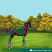 Horse Color:ERROR: UNKNOWN ANOMALY