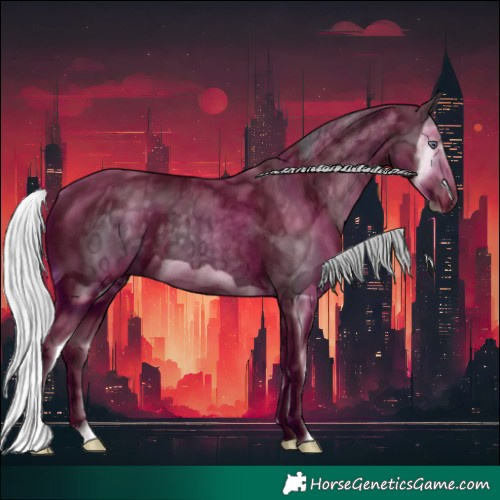 Horse Color:Silver Black Chinchilla Ice Splash 