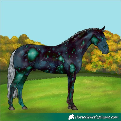Horse Color:ERROR: UNKNOWN ANOMALY