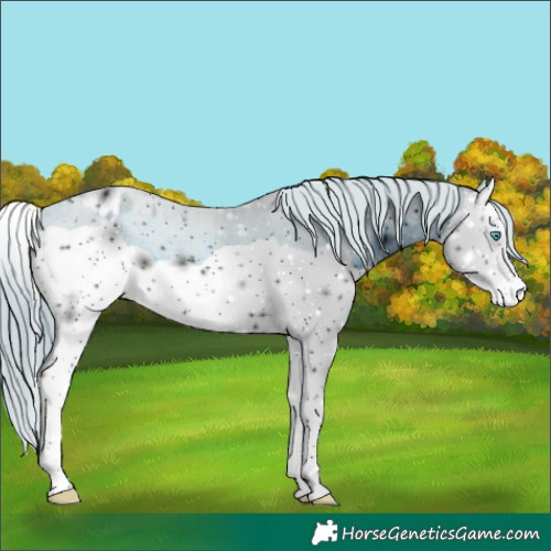 Horse Color:ERROR: UNKNOWN ANOMALY