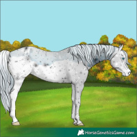 Horse Color:ERROR: UNKNOWN ANOMALY