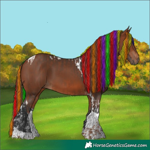Horse Color:Painted Chestnut Tobiano  and Painted Bay Tobiano 