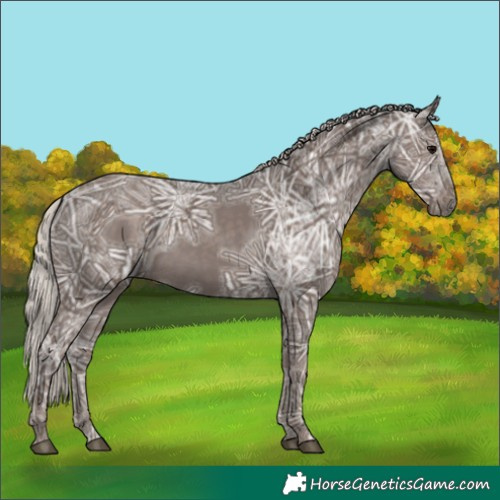 Horse Color:Silver Black Ice 