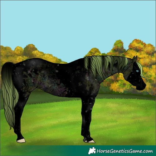 Horse Color:Void White Spotted Midnight Perlino Ice Splash Tobiano 