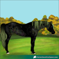 Horse Color:Void White Spotted Midnight Perlino Ice Splash Tobiano 