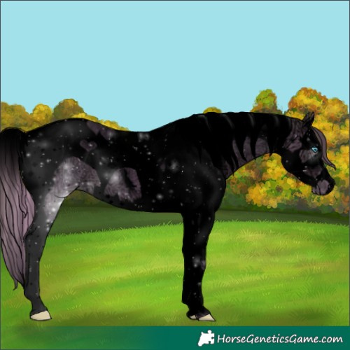Horse Color:Void Watercolor White Spotted Perlino Ice Splash Tobiano Appaloosa 