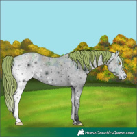 Horse Color:ERROR: UNKNOWN ANOMALY