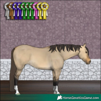 Horse Color:Buckskin Dun