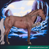 Horse Color:Silver Brown Ice Dun