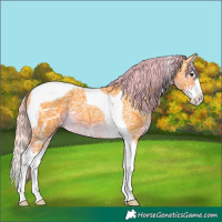 Horse Color:Watercolor Liver Chestnut Ice Splash Tobiano 