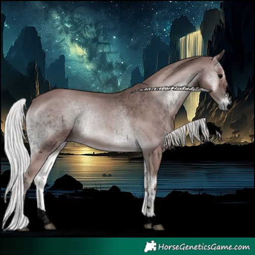 Horse Color:Void Platinum Silver Blue Onyx 