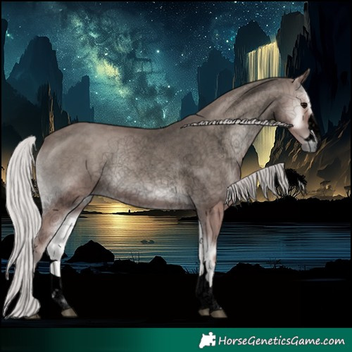 Horse Color:Void Platinum Silver Blue Onyx 
