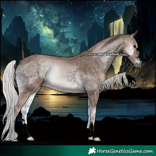 Horse Color:Void Platinum Silver Blue Onyx 