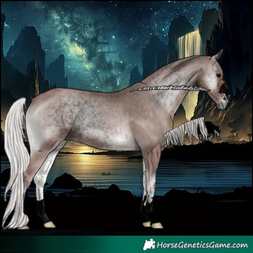 Horse Color:Void Platinum Silver Blue Onyx 