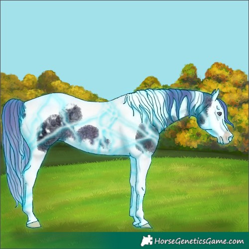 Horse Color:Thunderstruck Brown Chinchilla Ice Splash Tobiano Varnish 