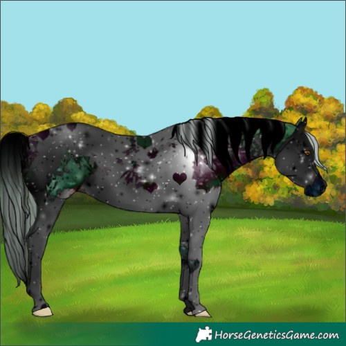 Horse Color:ERROR: UNKNOWN ANOMALY