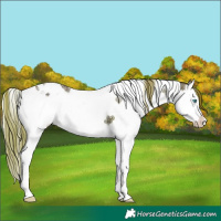 Horse Color:Brown Ice Pearl Onyx Splash Tobiano 