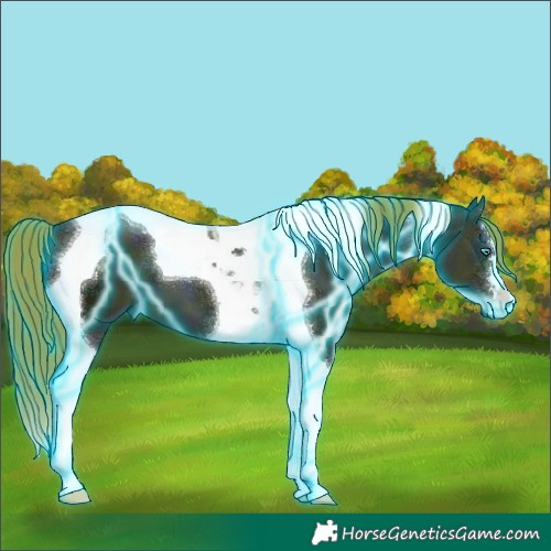 Horse Color:Thunderstruck Midnight Buckskin Ice Pearl Tobiano 
