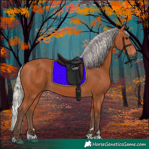 Horse Color:Silver Bay 