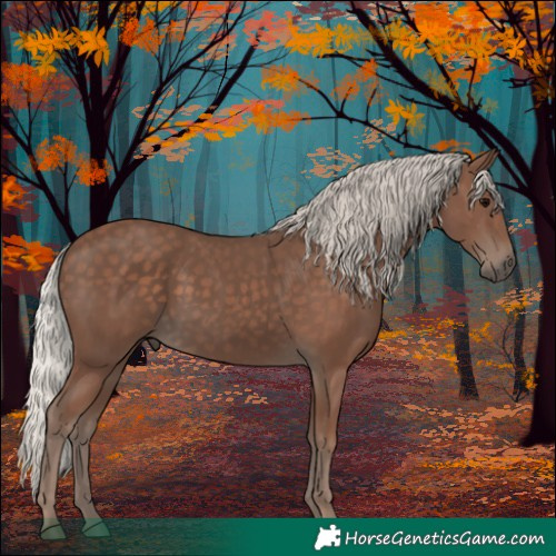 Horse Color:Silver Black 
