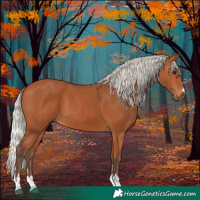 Horse Color:Silver Bay