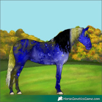 Horse Color:ERROR: UNKNOWN ANOMALY