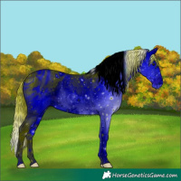Horse Color:ERROR: UNKNOWN ANOMALY