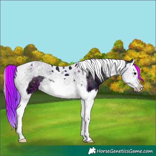 Horse Color:Watercolor Midnight Blue Onyx Ice Splash Tobiano