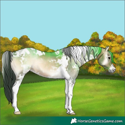 Horse Color:White Spotted Brown Onyx Tobiano 