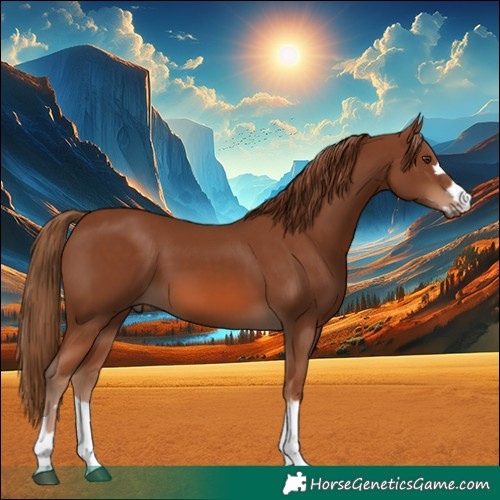 Horse Color:Chestnut 