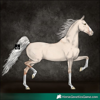 Horse Color:Silver Classic Champagne Dun Splash Frame 