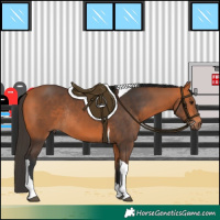 Horse Color:Bay Tobiano Rabicano 