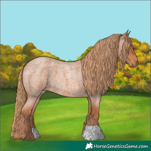 Horse Color:Red Roan 