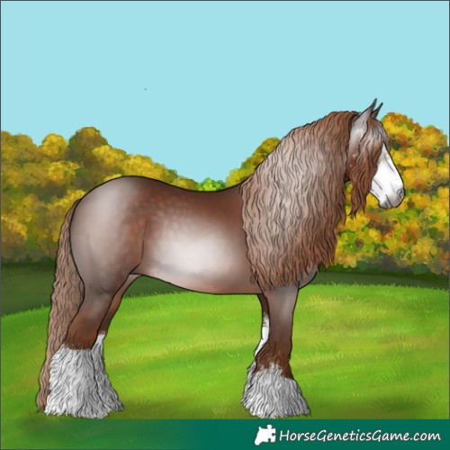 Horse Color:Gray Chestnut Sabino 