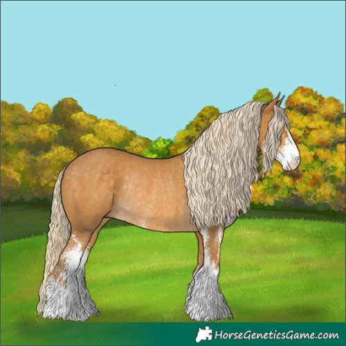 Horse Color:Palomino Sabino Rabicano 