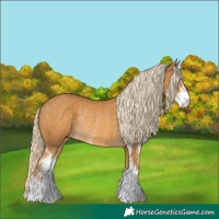 Horse Color:Palomino Sabino Rabicano