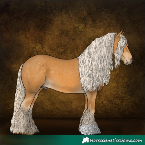 Horse Color:Palomino 