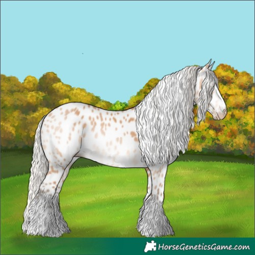 Horse Color:Gray Silver Perlino Appaloosa 