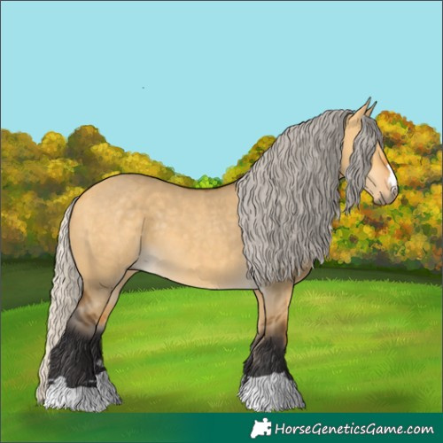 Horse Color:Silver Buckskin Dun 