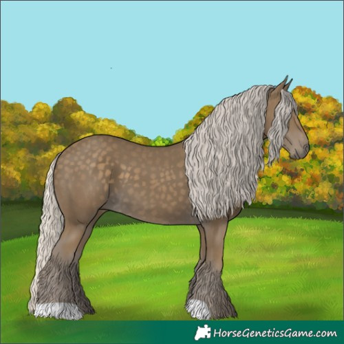 Horse Color:Silver Smoky Black 