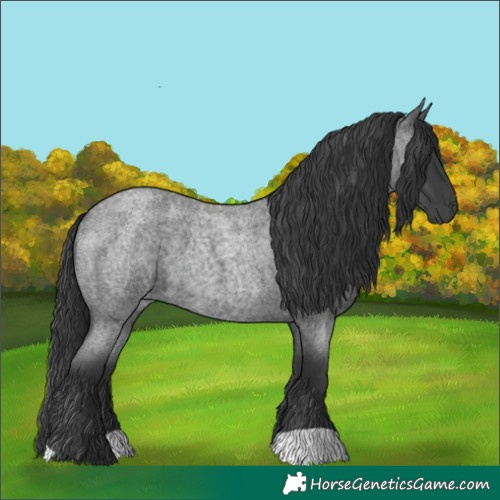 Horse Color:Blue Roan 