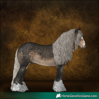 Horse Color:Gray Silver Smoky Black